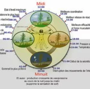 Pénibilité – quels axes pour progresser sur le travail de nuit et le travail en équipes alternantes